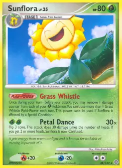 Sonnenflora