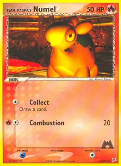 Numel del equipo Magma