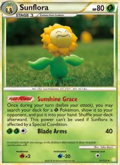 Sonnenflora