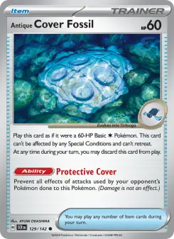 Antikes Schildfossil