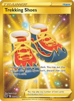 Botas de Expedición