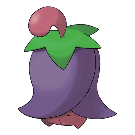 체리꼬